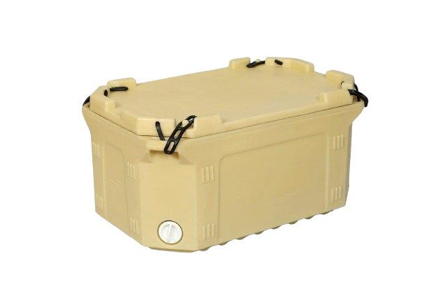 NBIT100-removebg-preview